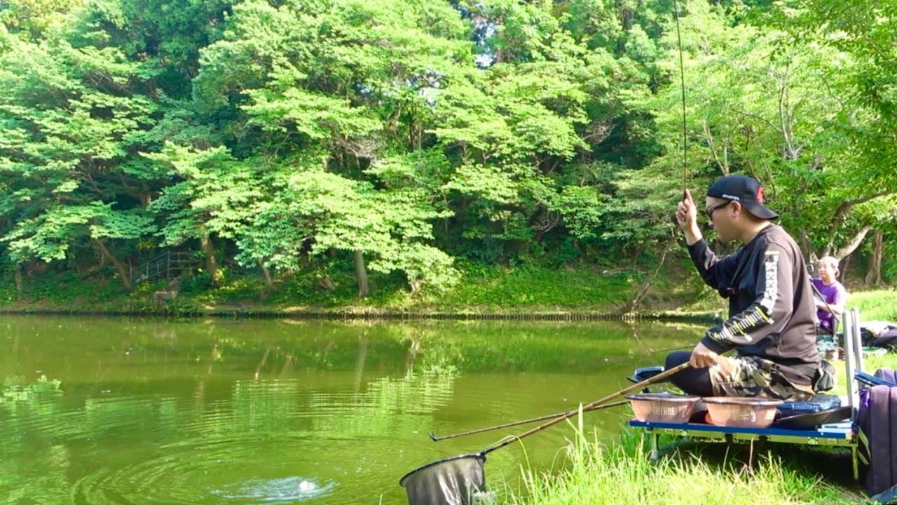 秘密にしていた野池でへらぶな釣り！両ダンゴ底釣りで浮きが動きまくる！