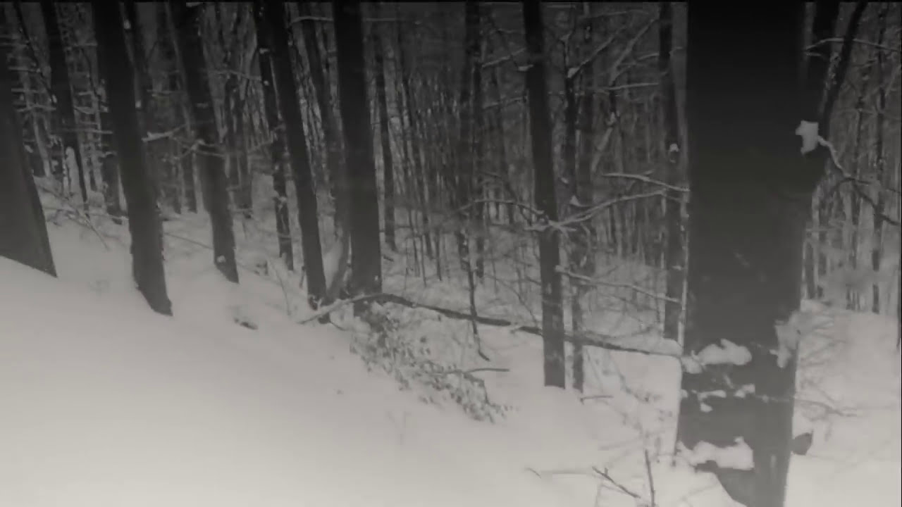 Finntroll - Intro + Svartberg  (unofficial video)