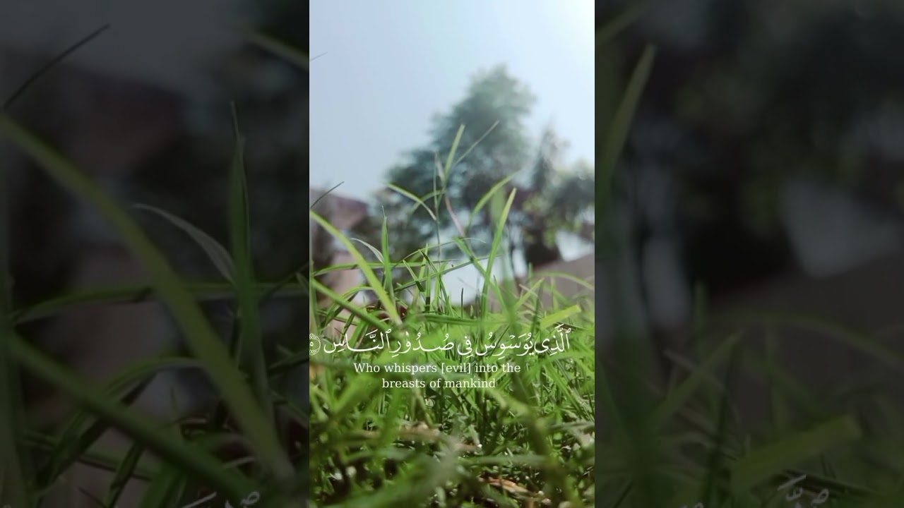 #sorah #alnaas #loveallah #hismercy #alwayskeeploving #awsomeview #homegarden #awsomeplace #nature