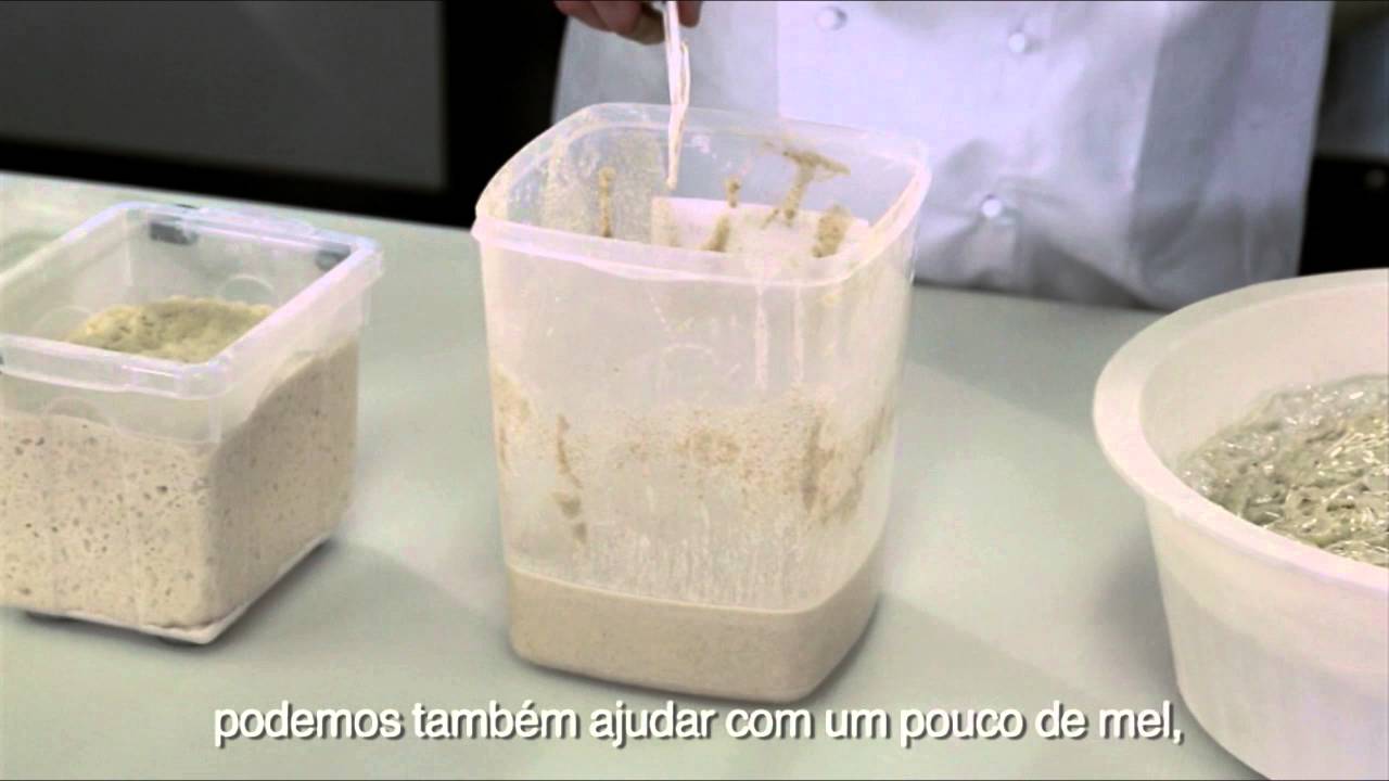 CURSO DE PÃES RÚSTICOS Cap2: 04 FERMENTO NATURAL OU PRÉ-FERMENTO MASSA MADRE
