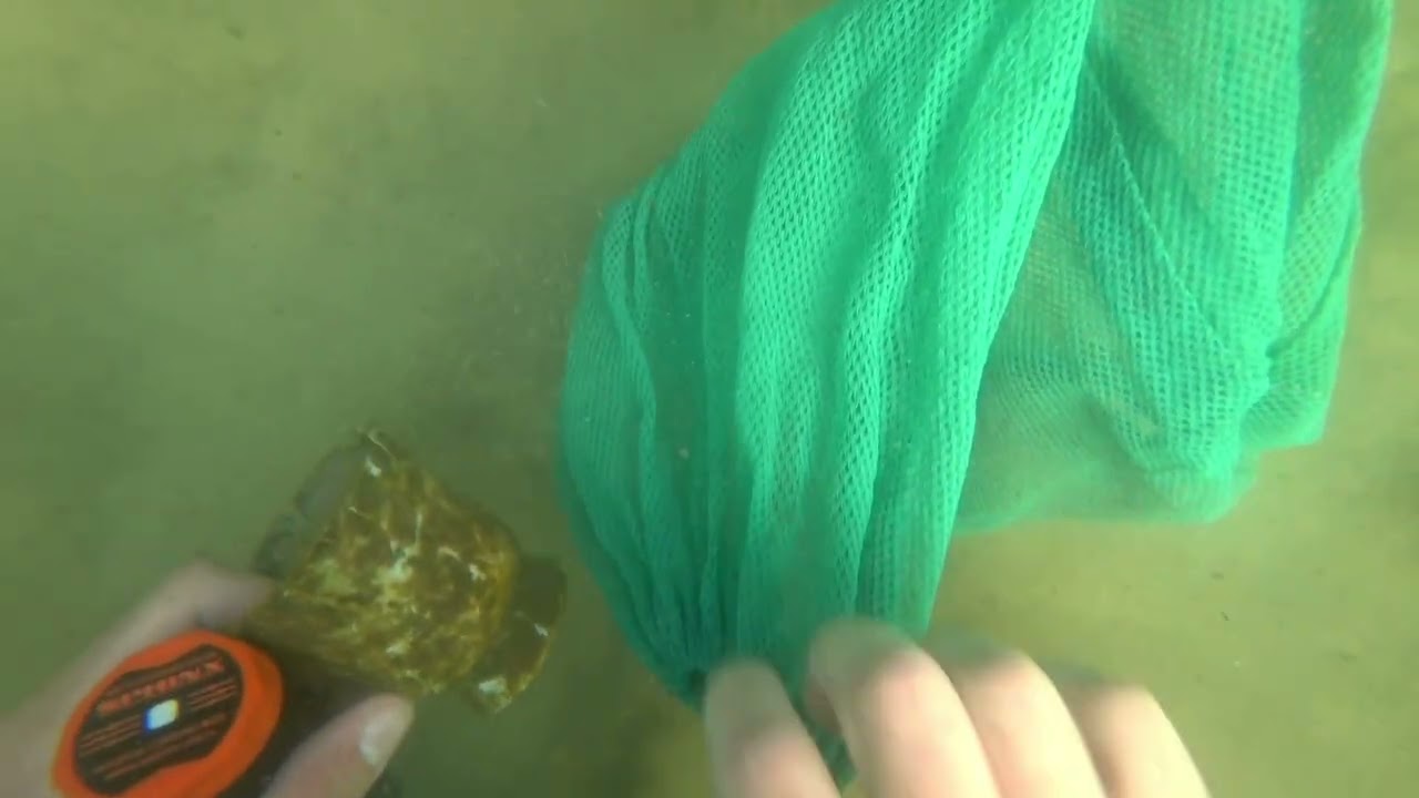 Поиск на Белом озере, minelab equinox
