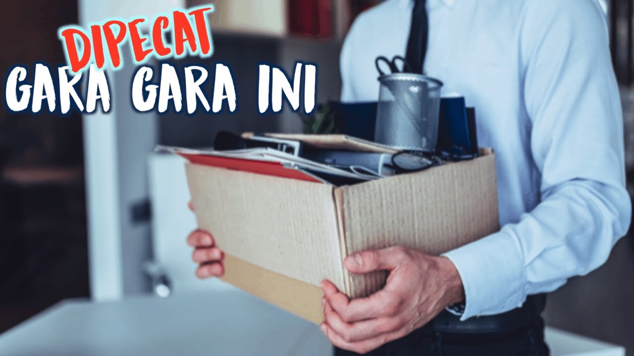 Gw Di Pecat 3 Hari Setelah Magang di Amerika