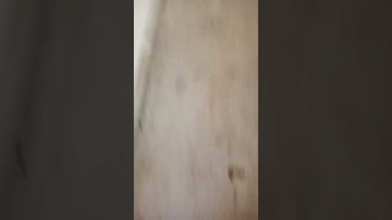 Video of baby werewolf/dogman footprints at my service door (1) - sophia Bierman
