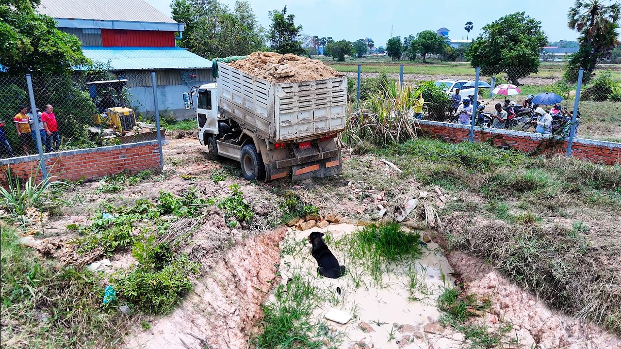 Amazing bulldozer still a tiny project landfill with soil and dirt used 5 ton dump trucks