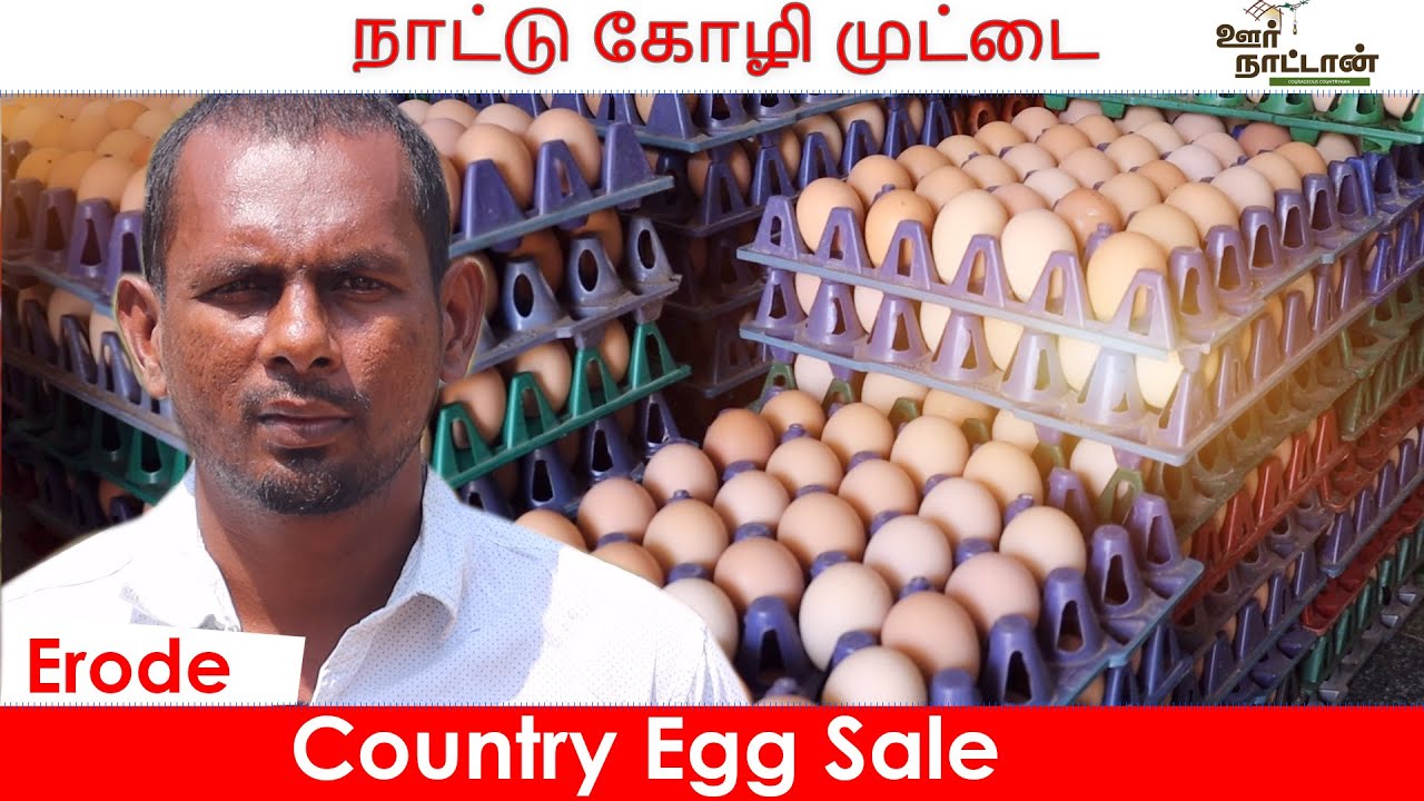 நாட்டு கோழி முட்டை வியாபாரம் | Country Egg Sale | Delivery Available | Oor Naattan