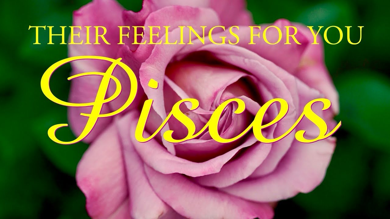 PISCES love tarot ♓️ For This Person Pisces It Was Love At First Sight They Want You
