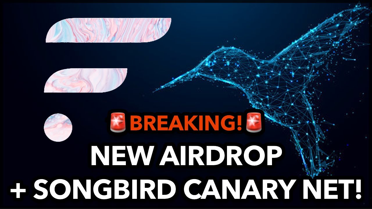 Introducing Songbird, The Canary Network for Flare! $SGB