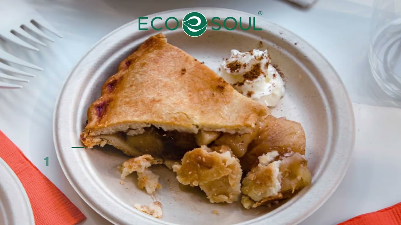 Plastic free disposable plates! Plant-Based Plates - Best eco-friendly plates