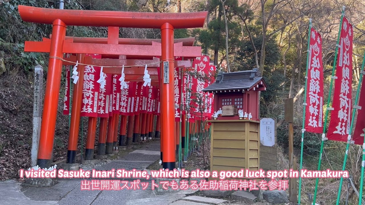 Famous as a power spot for career advancement and good luck　Visit Sasuke Inari Shrine鎌倉市にある佐助稲荷神社を参拝