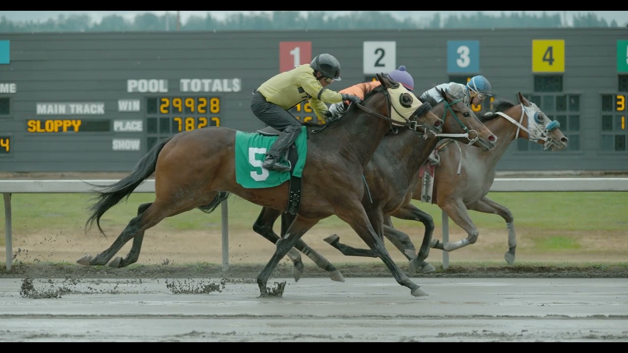 Slow Motion Horse Racing