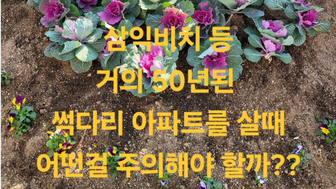2025.12.17.수. 썩다리 노후 아파트 살때 주의점과 현재 남천동 분위기