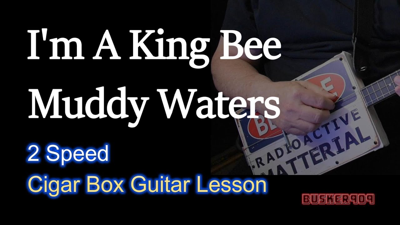 «I'm A King Bee» от Muddy Waters: урок игры на гитаре в двухскоростном сигарном ящике с табулатурой