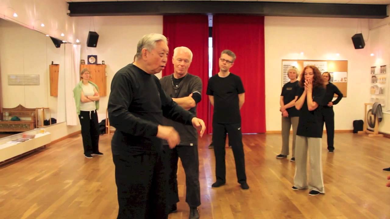 Tai Chi Workshop William C. C. Chen 2013