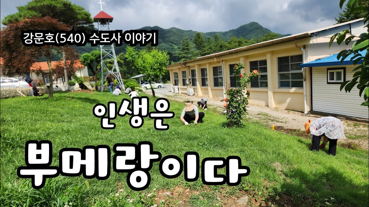 강문호(540) 인생은 부메랑이다. 2024.6.23.