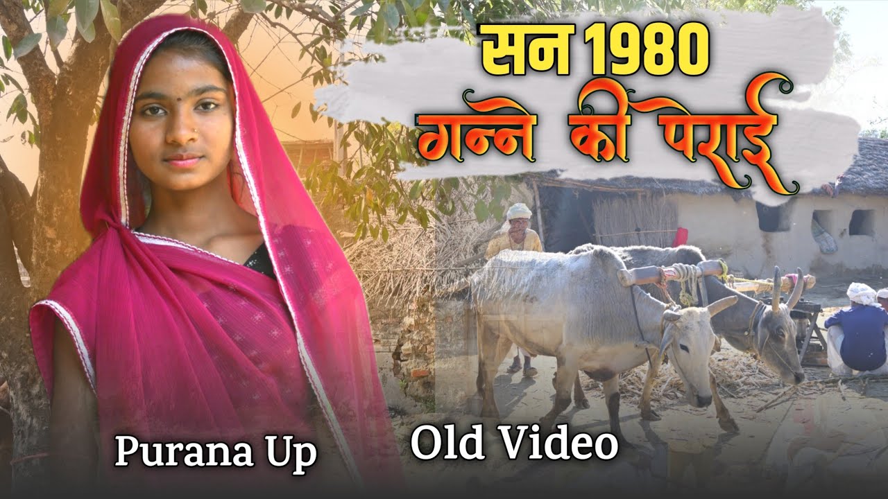⏱️सन 1980 मे गन्ने की पेराई | पुरानी याद | Old Video | Purana