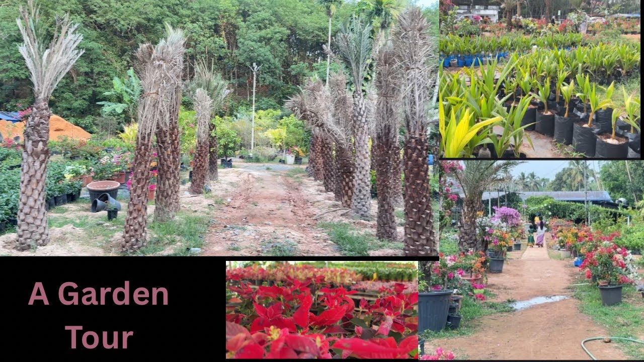 Greenvalley botanical garden at  valakam in  kottarakara kollam  ഡിസ്ട്രിക്ട്