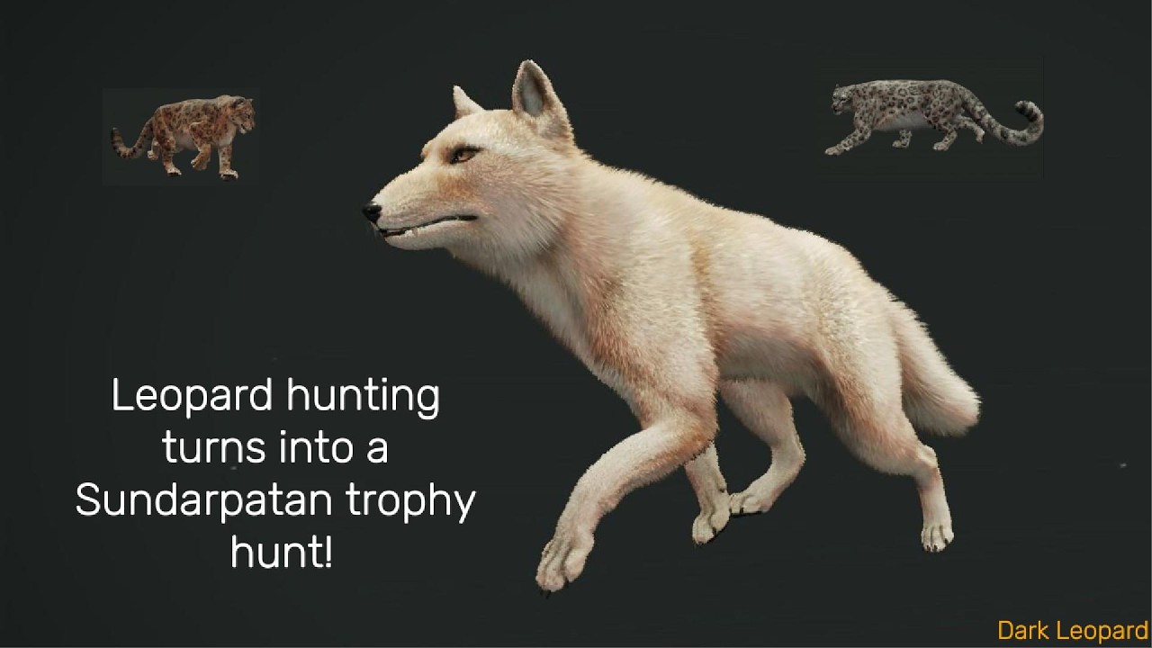 Hunting Snow Leopards turns into trophy hunt!