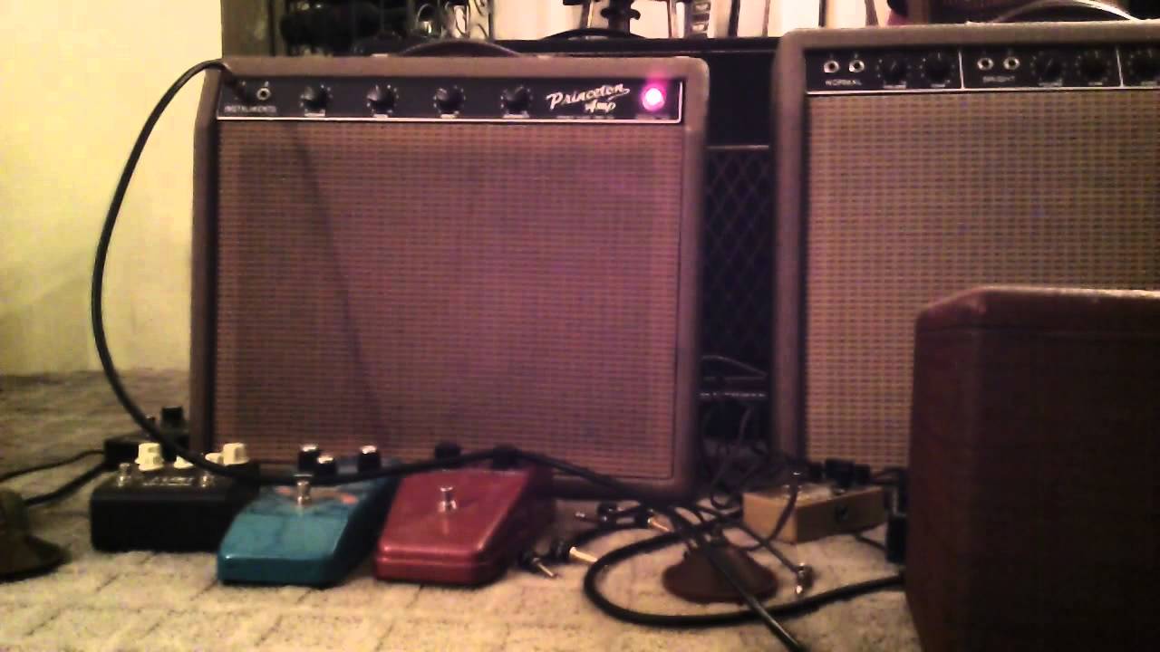 Fender Brown Princeton & Hofner 459  (1)