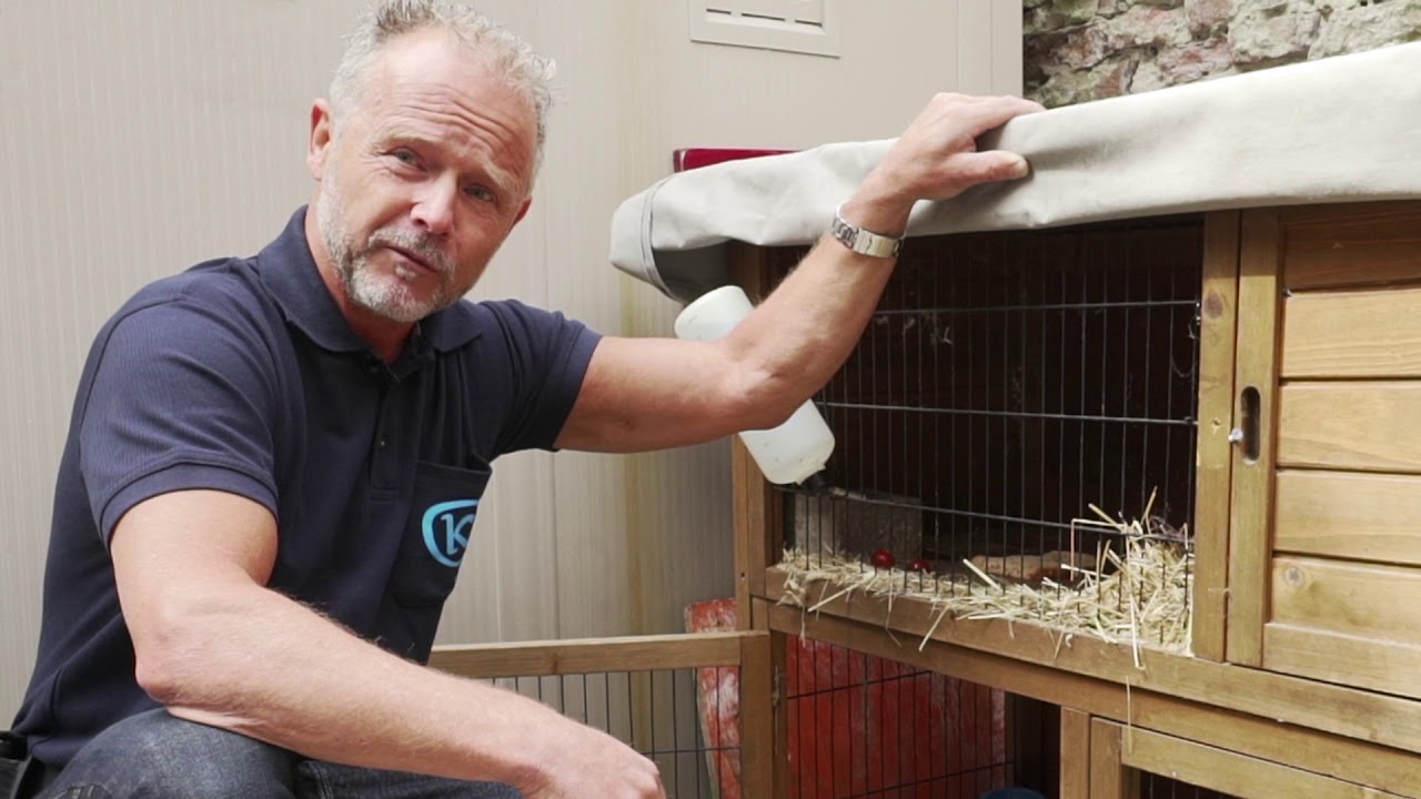 Hoe voorkom je overlast door muizen of ratten?