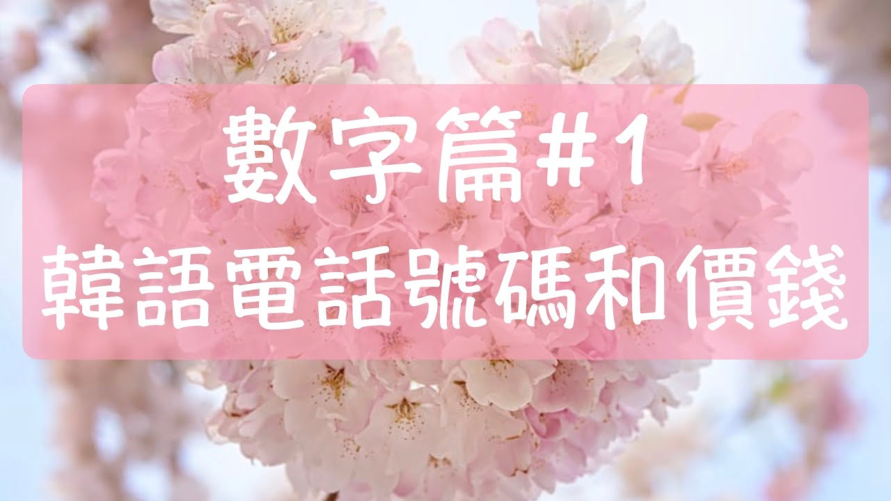 手機號碼是幾號？ 韓語數字篇#1 韓文電話號碼和價錢 價錢是多少韓文 數字韓文 電話號碼是幾號韓文 韓語教學