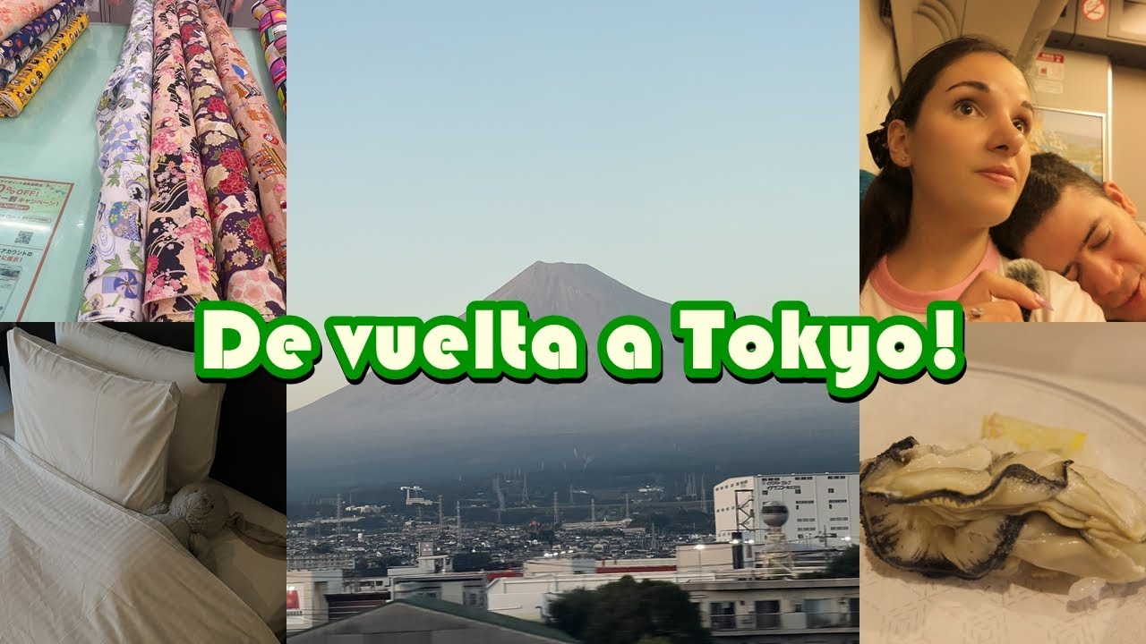 Dia 12: De Nagasaki a Tokyo🚄 + Bento en el tren 🍱+ Telas en Shinjuku 🧵