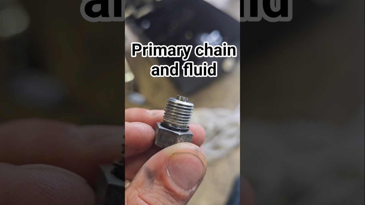 Primary chain and fluid change #motorcycle #sportster #harleydavidson #chopper #biker #oilchange