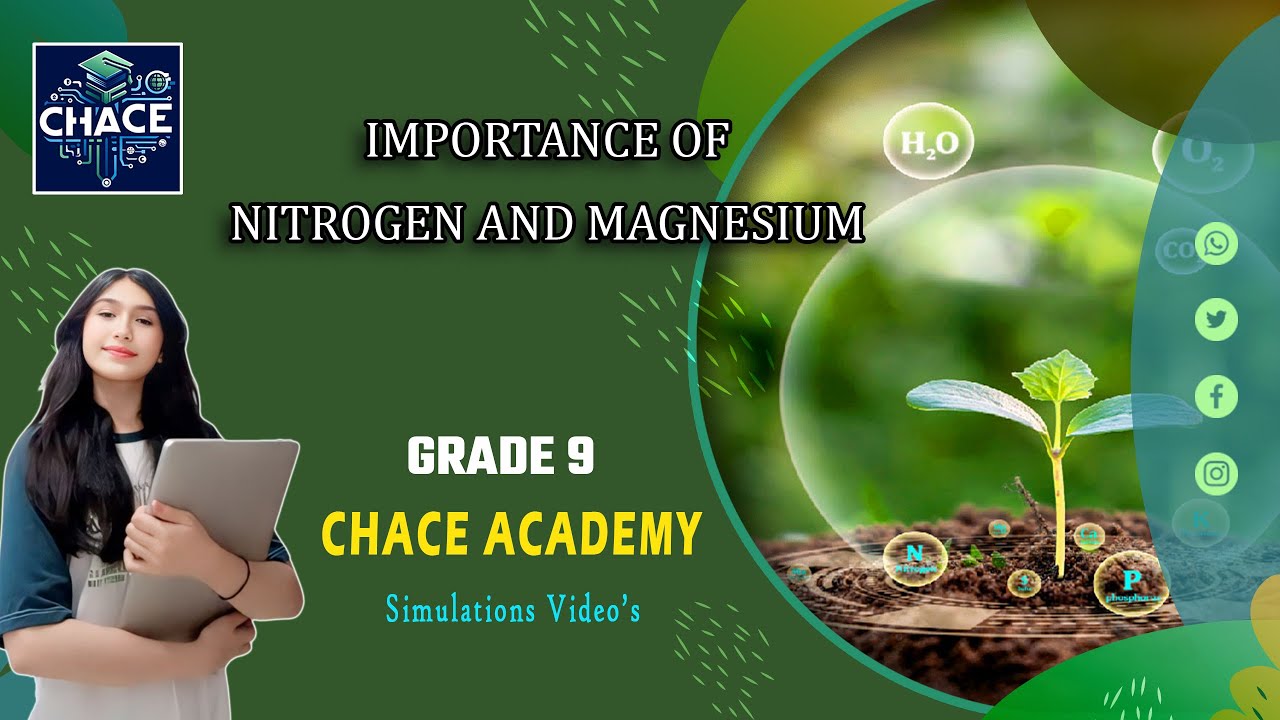 Bio 9 Ch 8 kn 8.1 Lec 1b (Importance of Nitrogen and Magnesium)