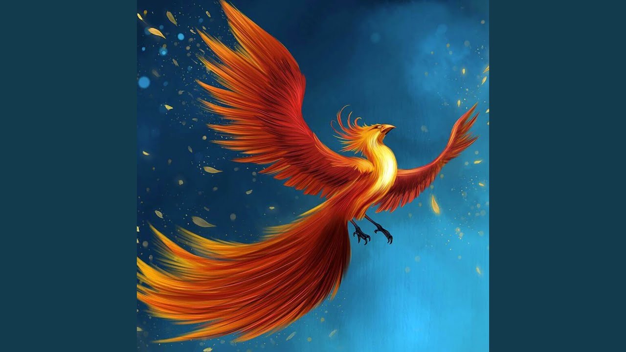 Fawkes The Phoenix (Harry Potter Lofi)