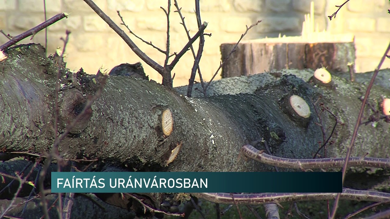Fa&iacute;rt&aacute;s Ur&aacute;nv&aacute;rosban - H&iacute;rad&oacute; - 2021.01.26.