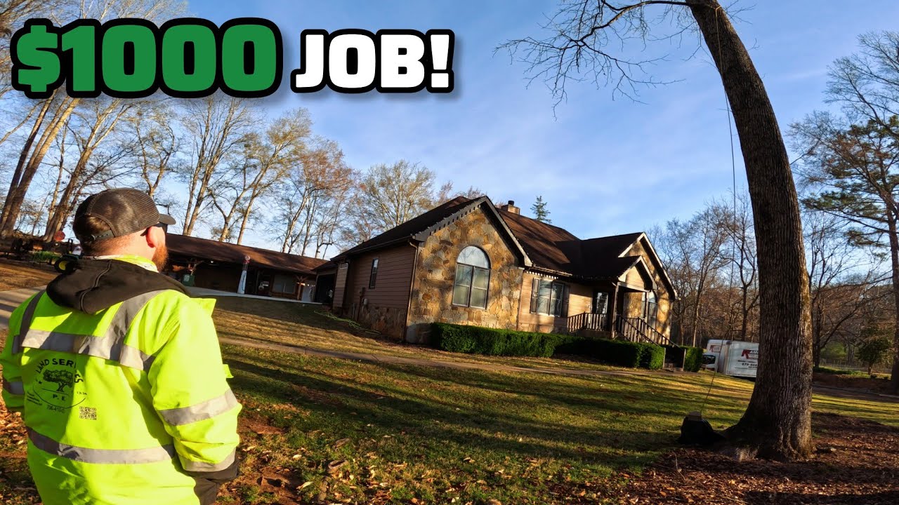 We Got Hired To Remove A BIG Dangerous Tree Leaning Over The House!
