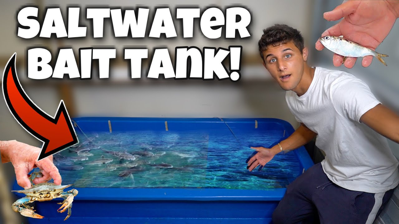 HOMEMADE Live BAIT WELL For My GIANT FISH!! *FEEDING*