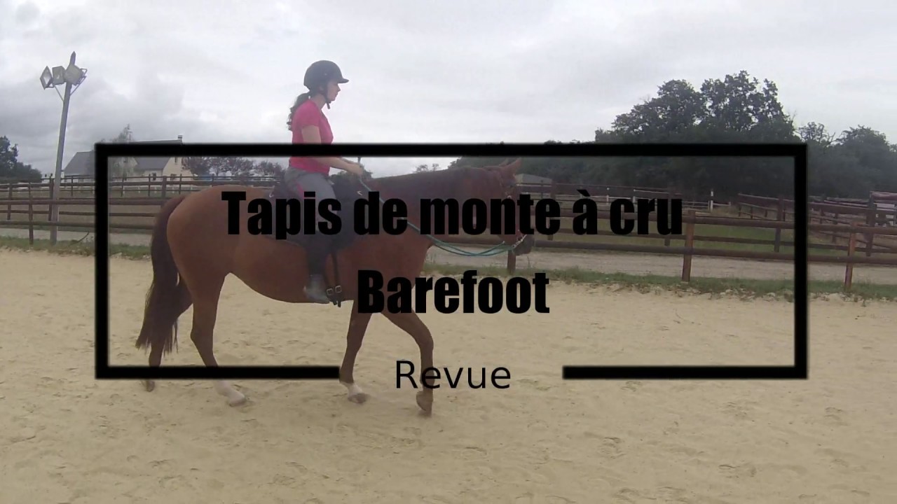 Revue - Tapis de monte à cru