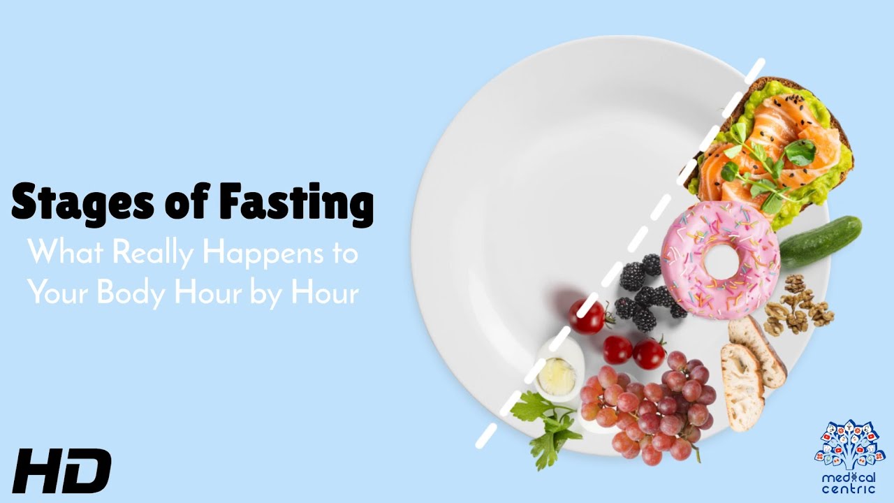 Stages of Fasting What Really Happens to Your Body Scientifically Explained