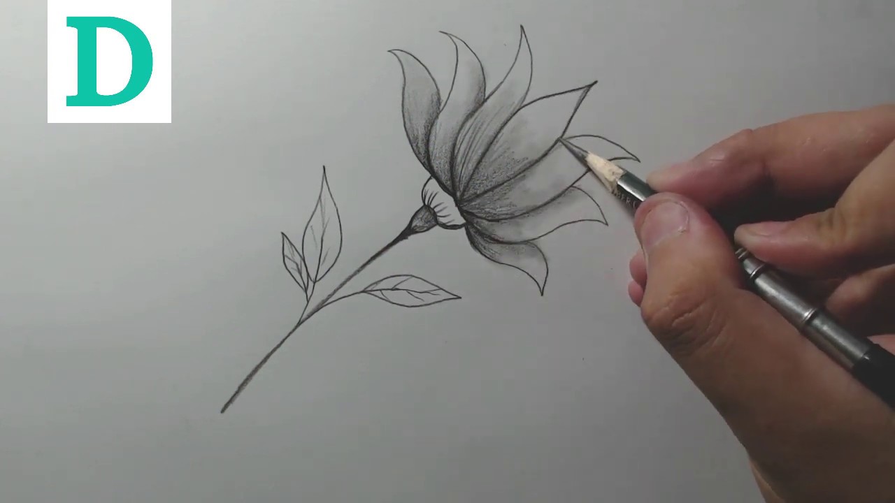 Como desenhar uma flor passo a passo