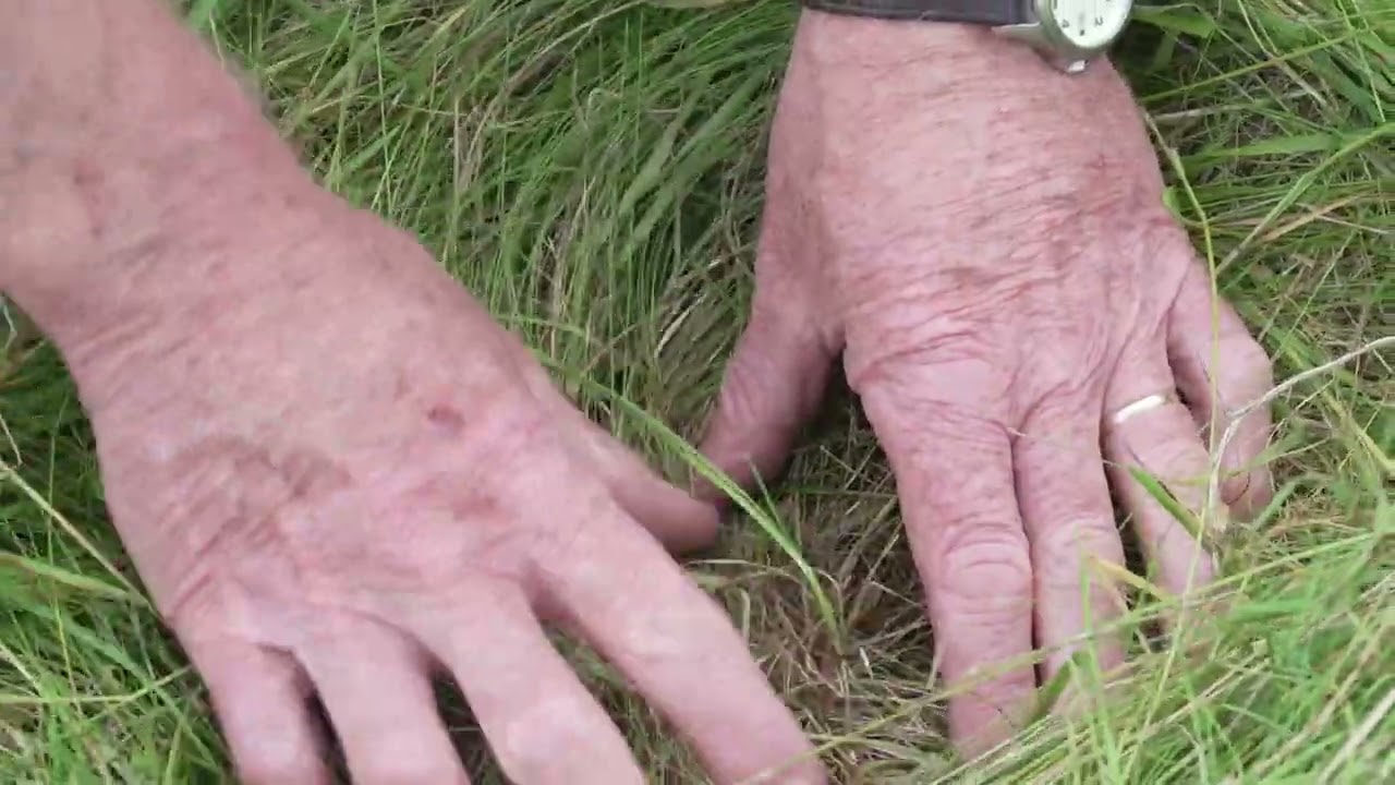 Hillside Organic Farm supporting Roscommon Climate Call