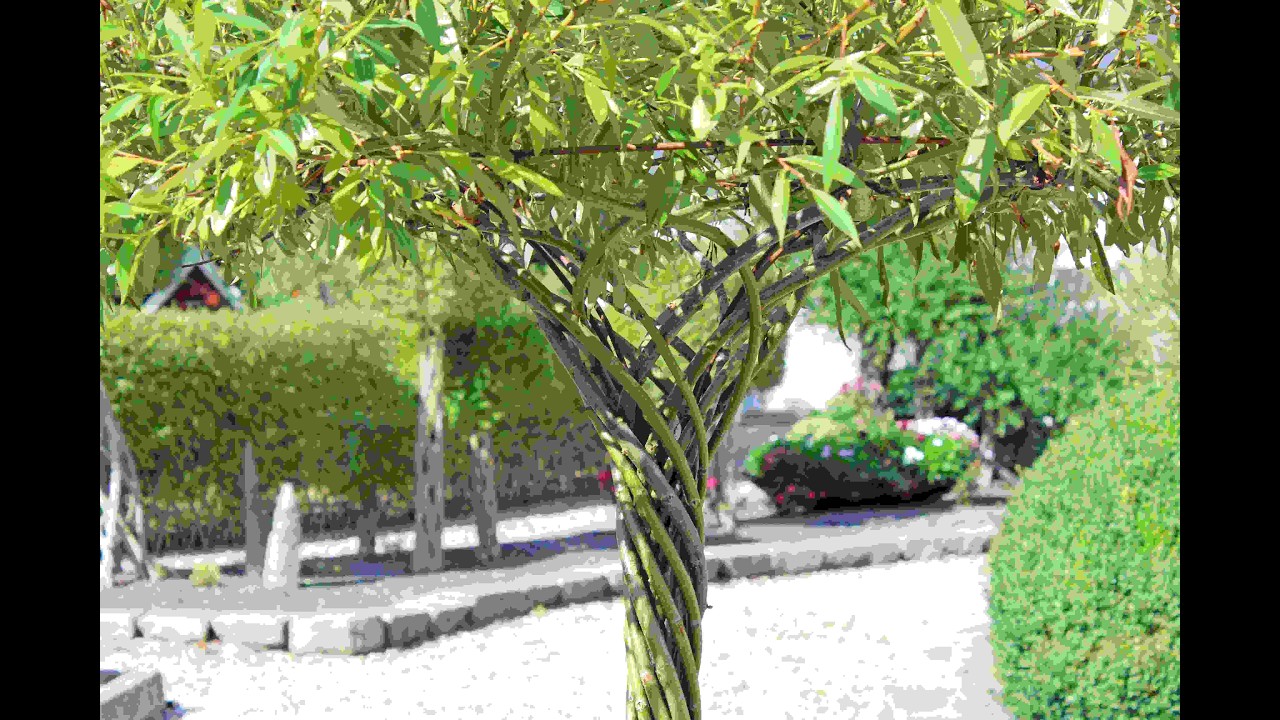 The Living Umbrella® - levende kunst med funktion