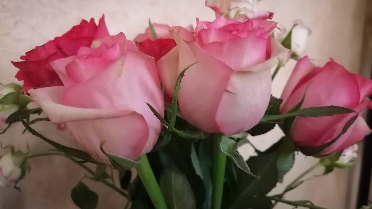 Tisay I.A is live! Have a great Saturday.