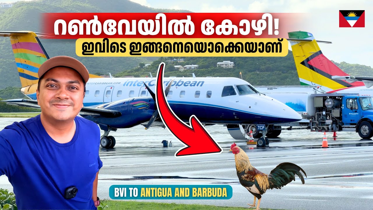 റൺവേയിൽ കോഴി! Unexpected Moments While Flying from BVI to Antigua 🇦🇬