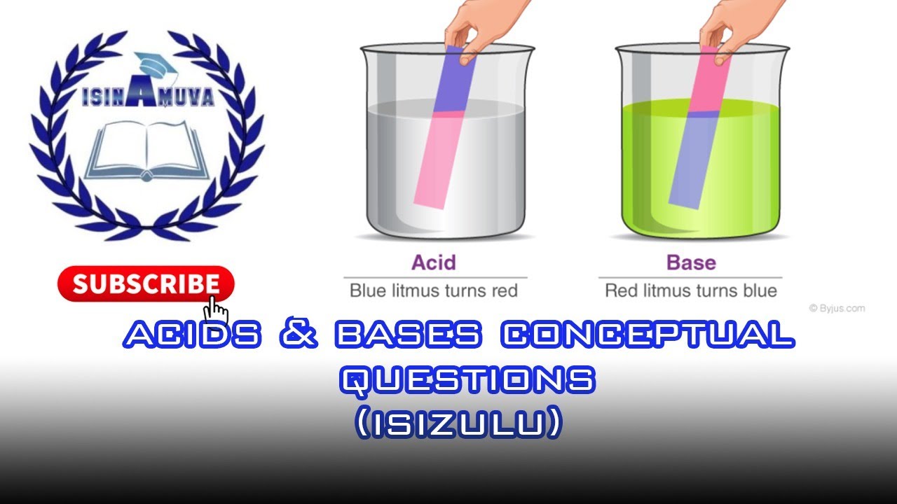 ACIDS AND BASES CONCEPTUAL QUESTIONS [ ISIZULU ]