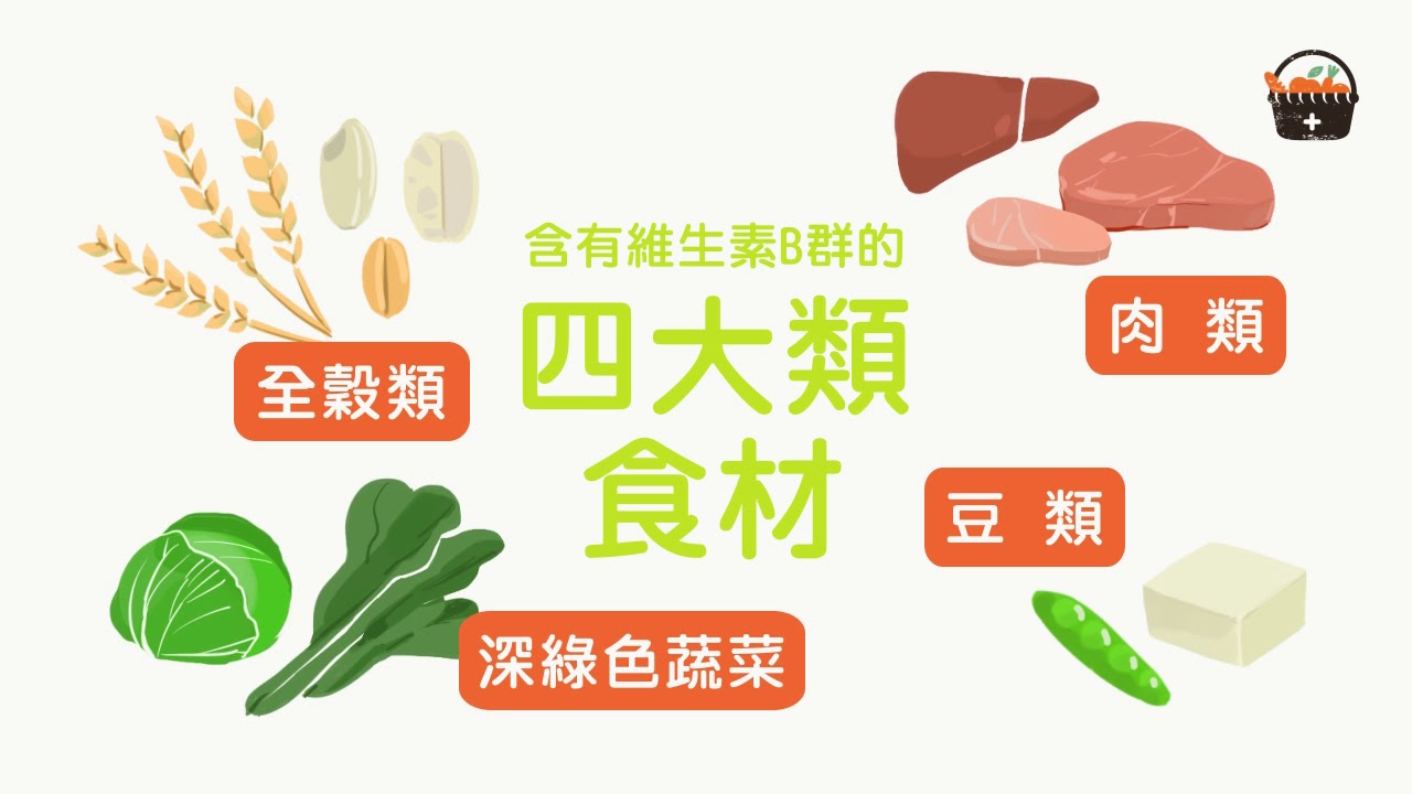 【消除疲勞救星】食物中維生素B營養大解析！