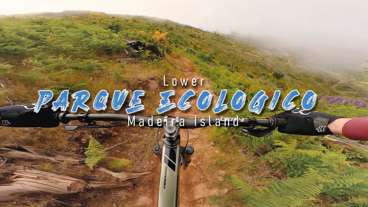 Parque Ecológico (lower) -  Madeira Island