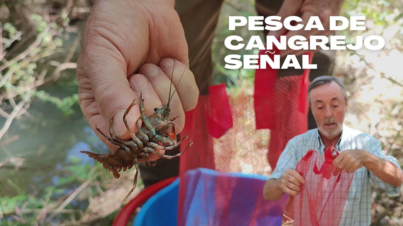 PESCA DE CANGREJOS DE RÍO con mi padre 45 años después