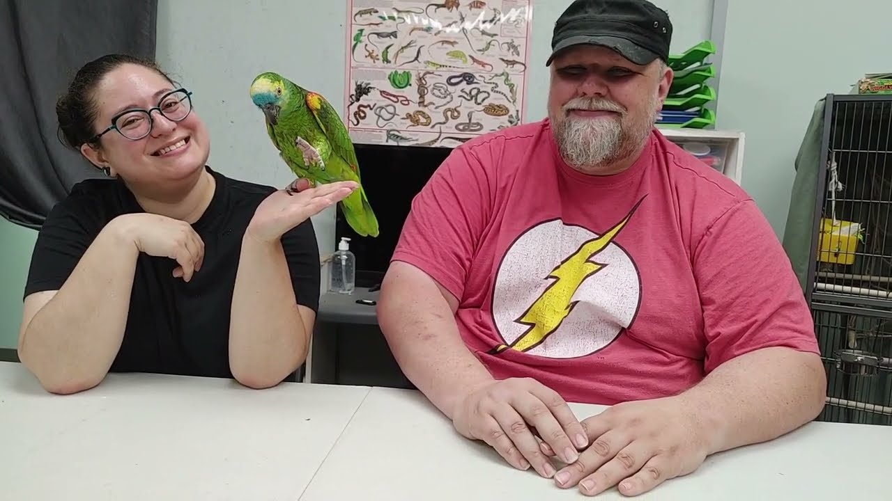 Joey The Demon Bird