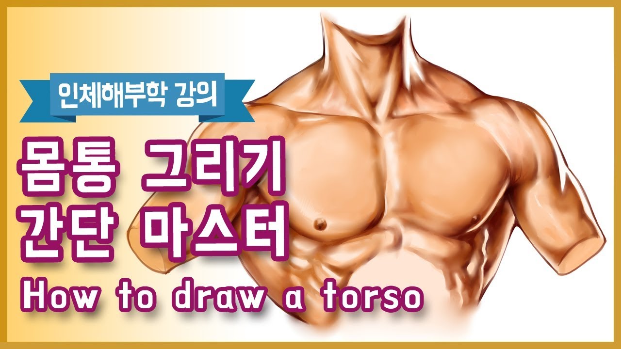 몸통 간단히 마스터하기(How To Draw A Torso) - 오쌤 인체해부학(Anatomy Teacher O)