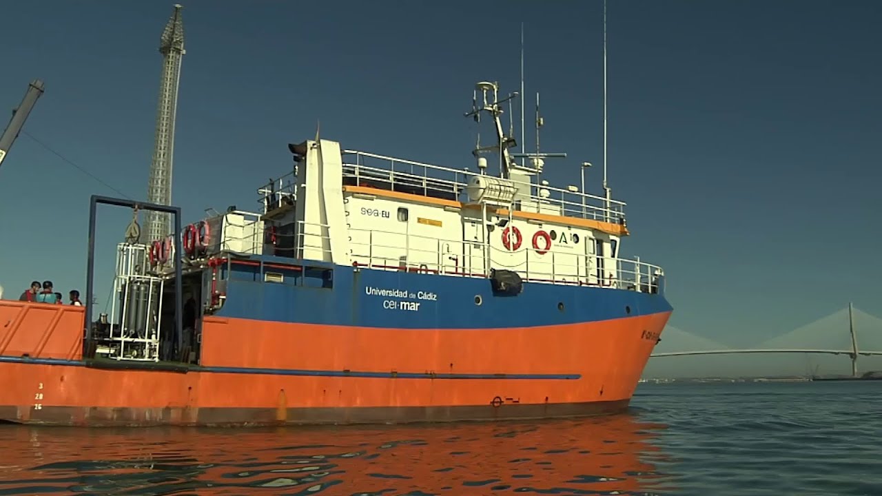 Seguimiento de la biodiversidad en aguas de la Bahía de Cádiz