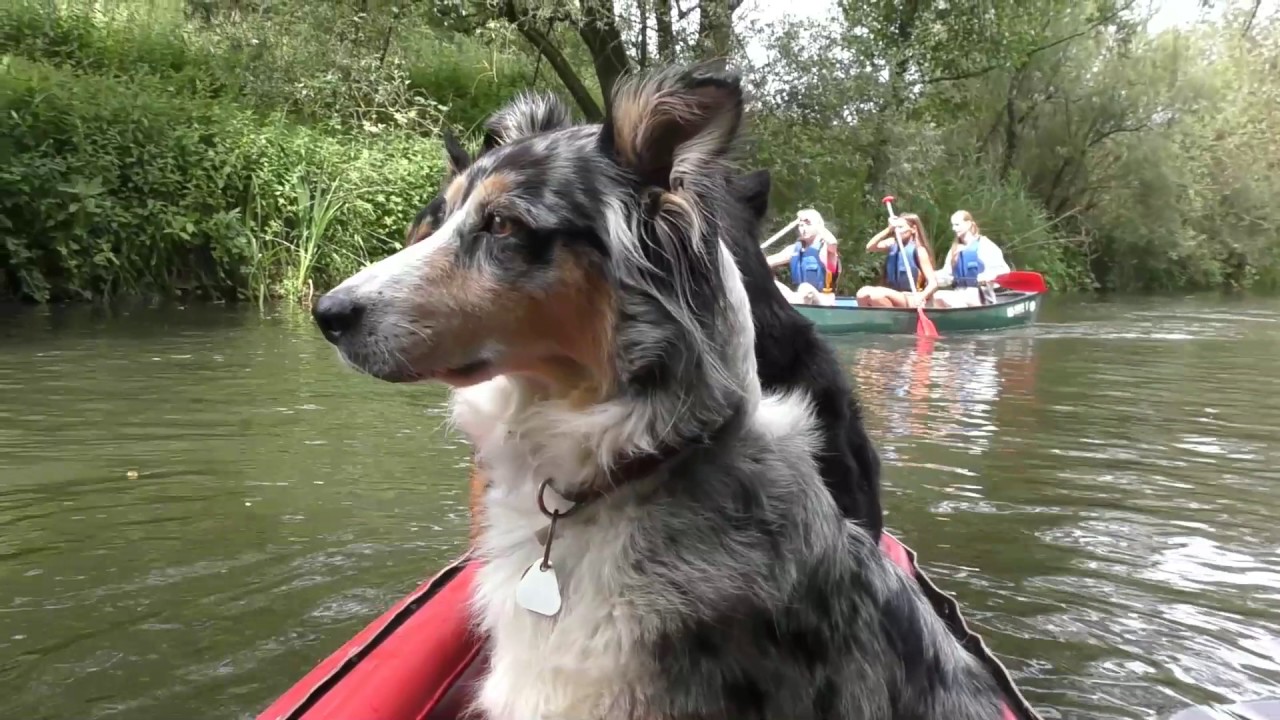 Mit 3 bunten Hunden im roten Grabner-Gummiboot auf der LAHN 2017