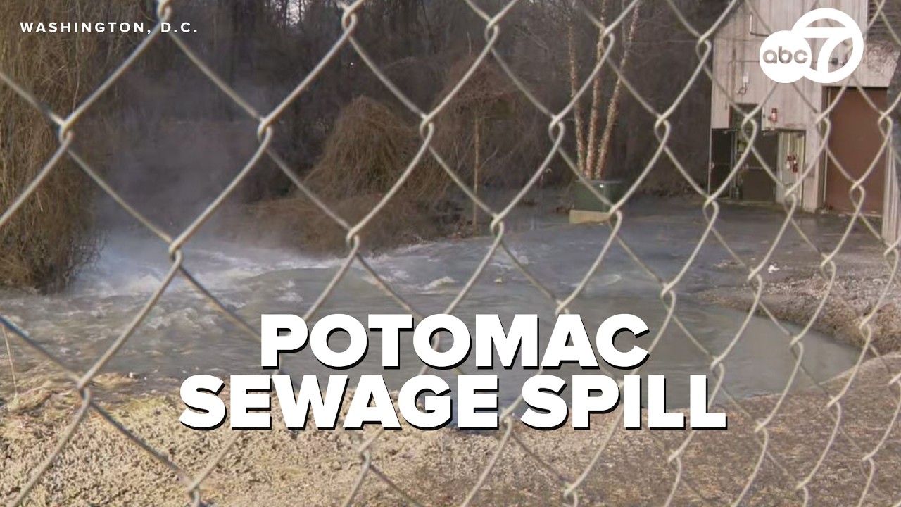 Potomac River sewage spill could take months to fix, DC Water says