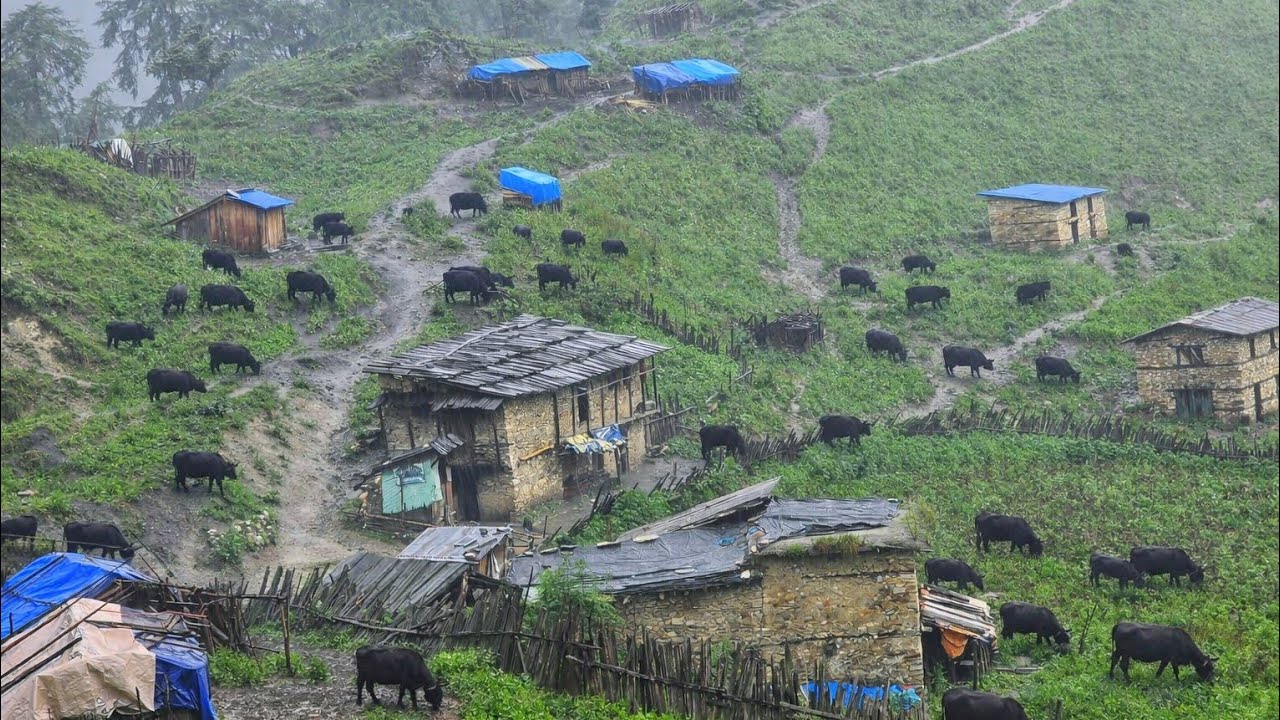 A rainy day in a Himalayan mountain village shows the true beauty of nature