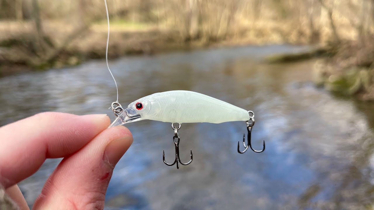 TROUT Fishing with Jerkbaits! (creek fishing)