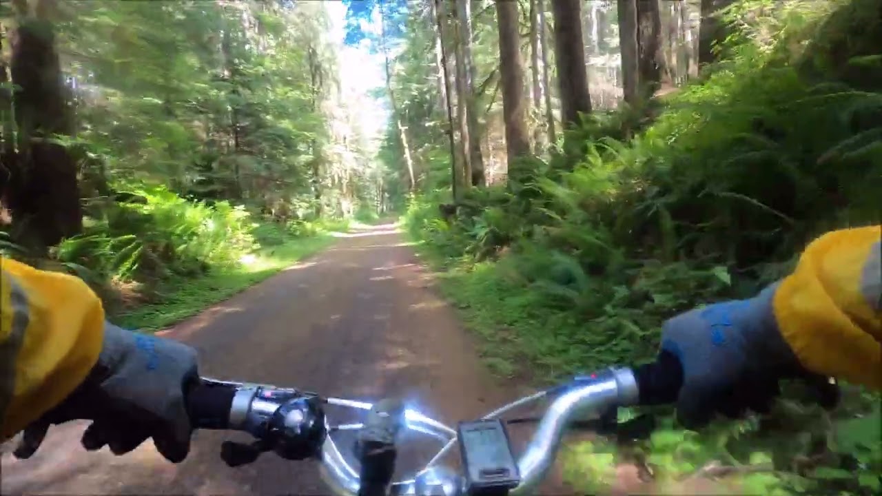 Olympic Discovery Trail - Camp Creek to East Beach - June 12, 2024
